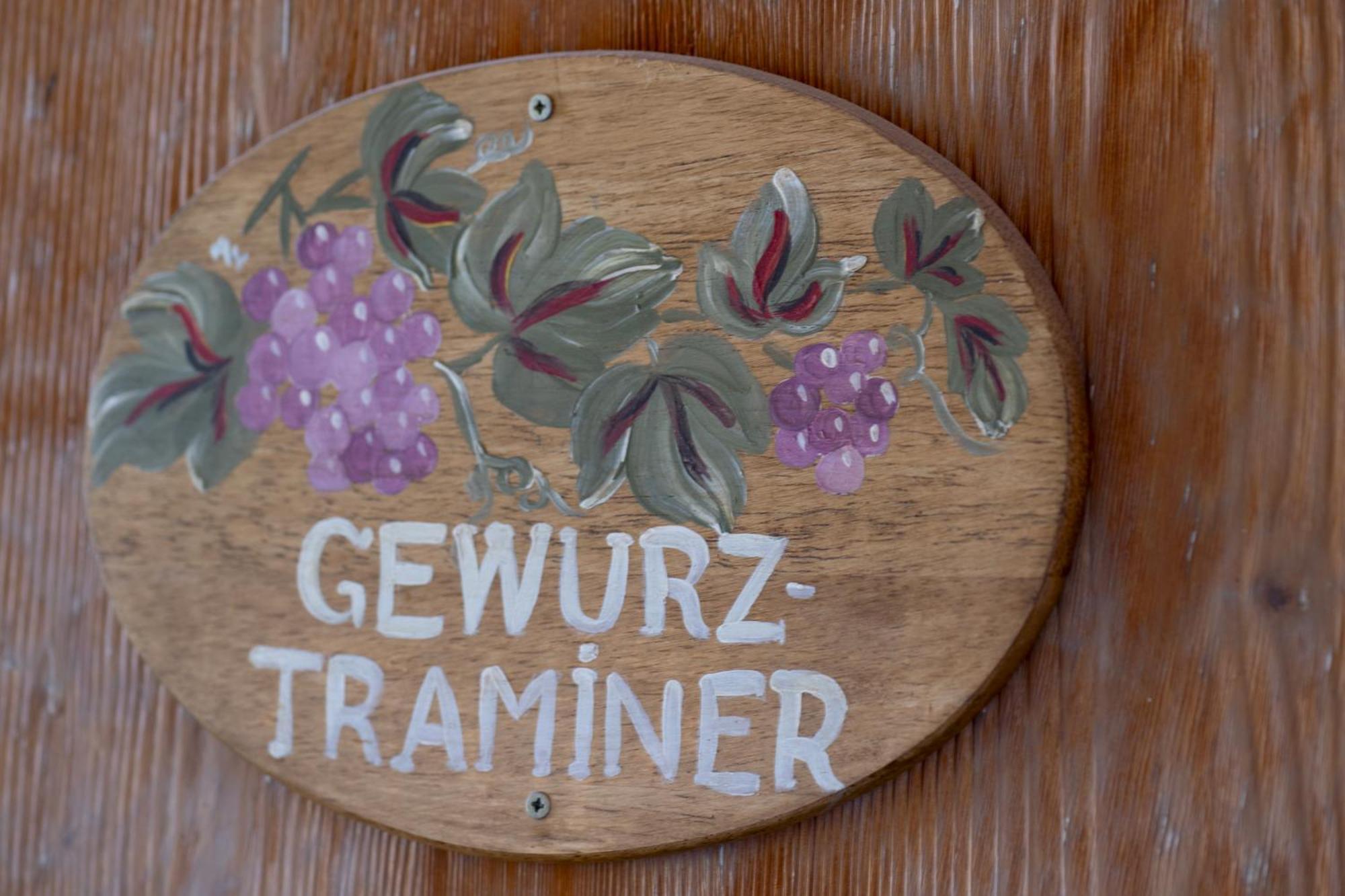 Gewurztraminer - Studio Au Pied Du Vignoble - Renove Recemment - Parking Gratuit Riquewihr Exterior photo